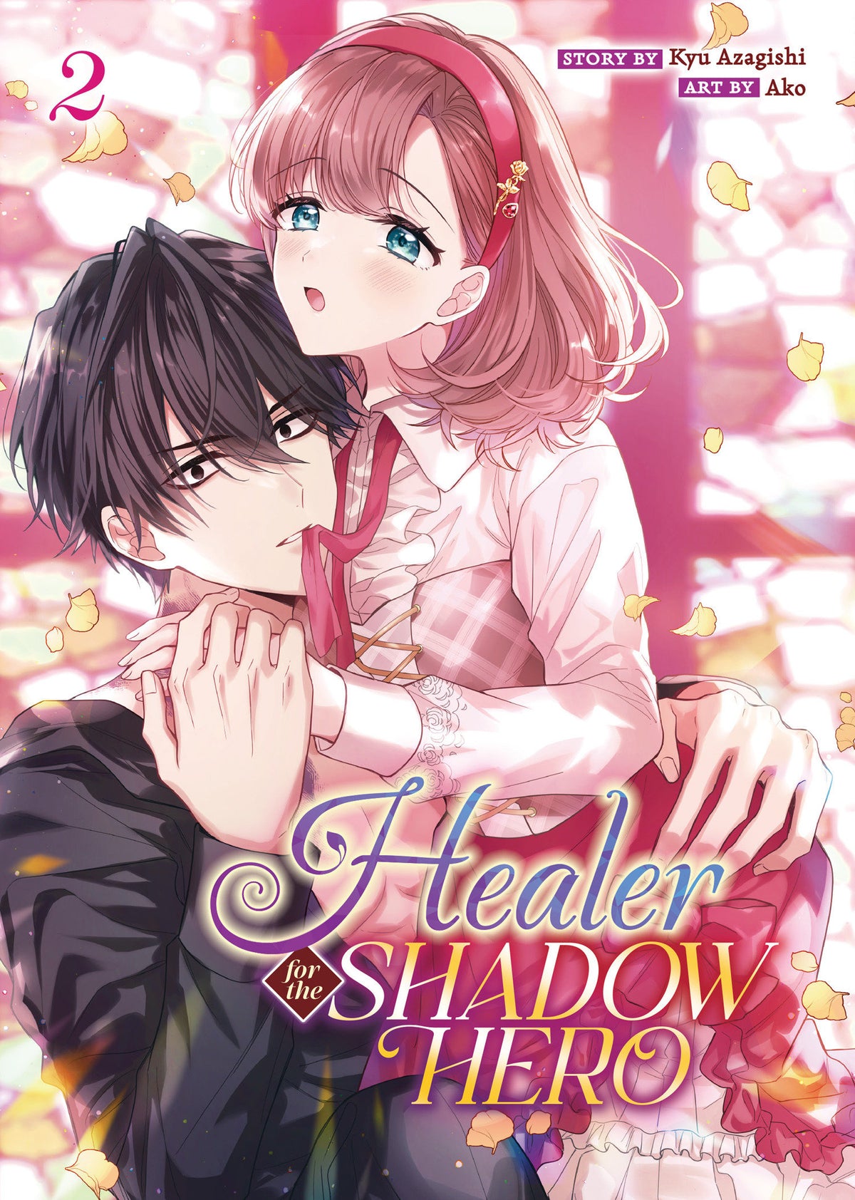 Healer for the Shadow Hero