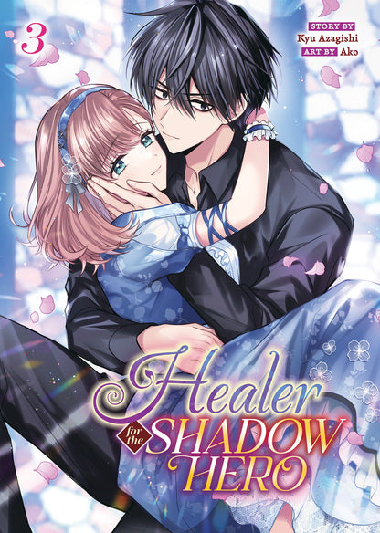 Healer for the Shadow Hero