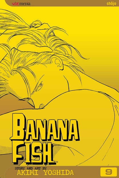 Banana Fish Volume 9